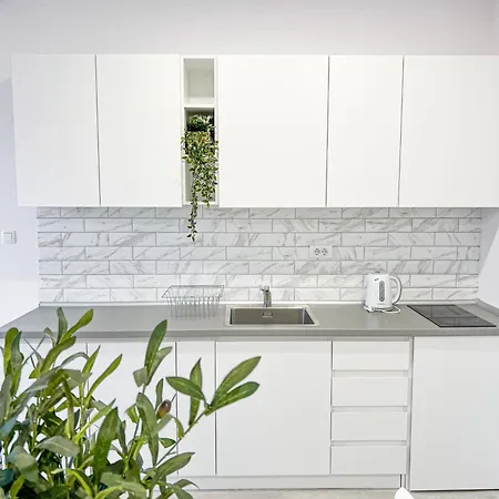 Carpe Diem Villa Novi Sad